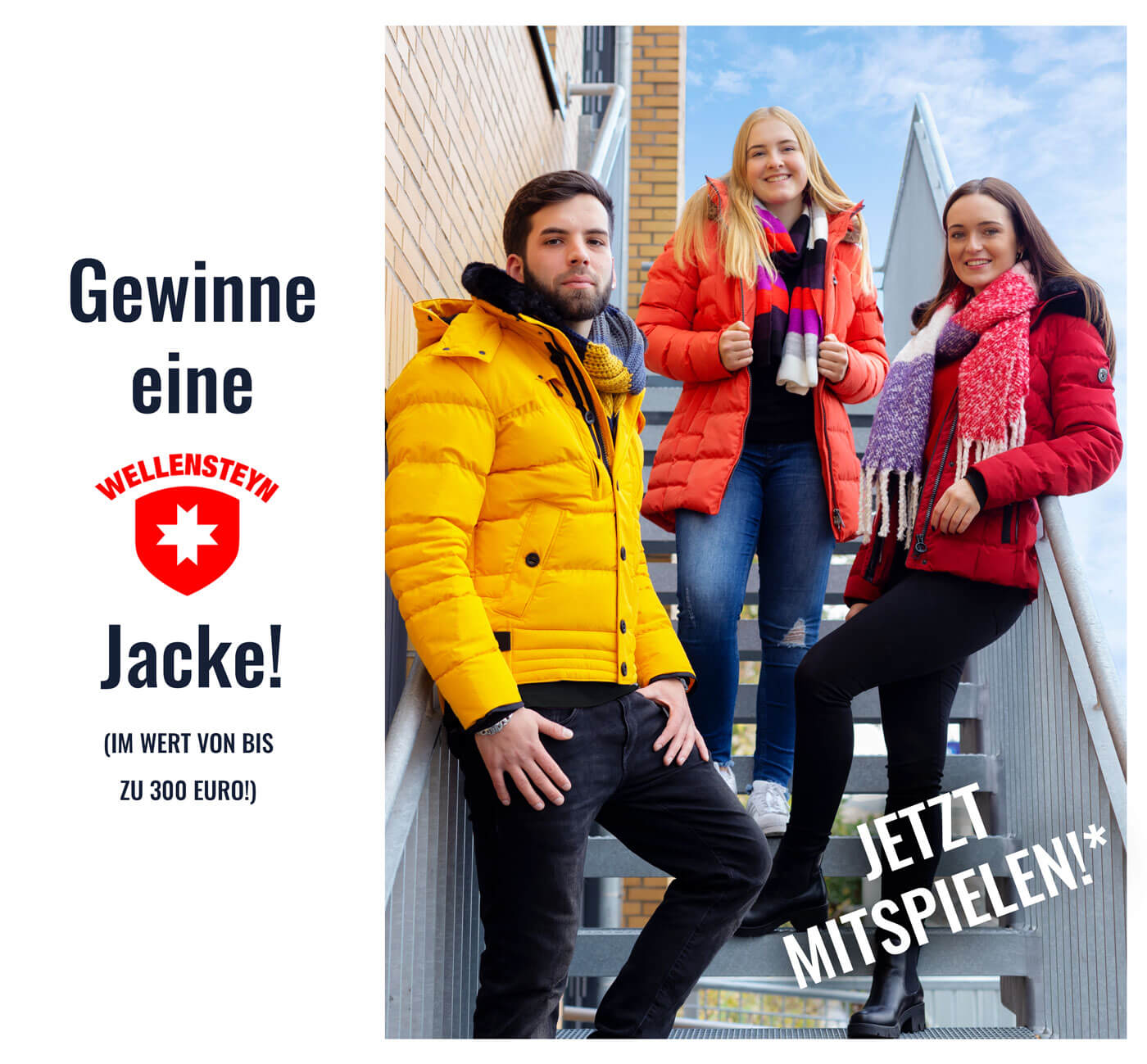 Wellensteyn Gewinnspiel 2018