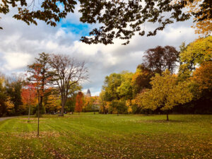 Ernst-Ehrlicher-Park im Herbst