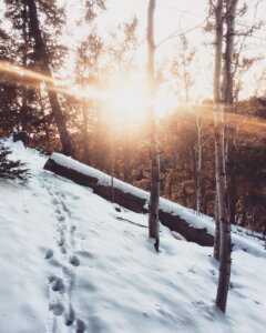 Fit im Hildesheimer Winter Fit im Hildesheimer Winter