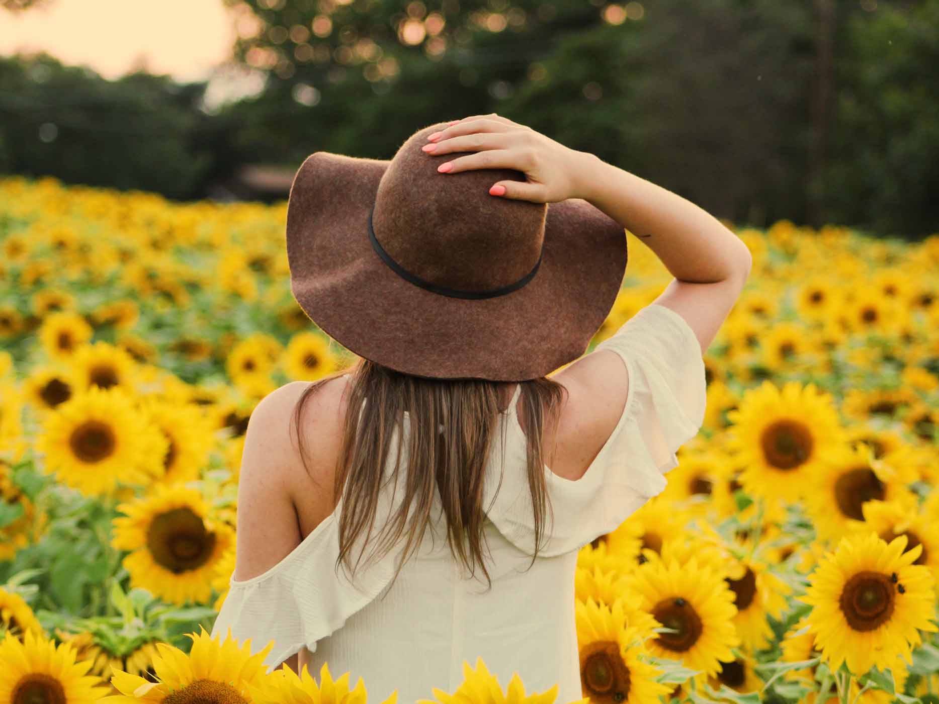 Frau mit Hut steht im Sonnenblumenfeld