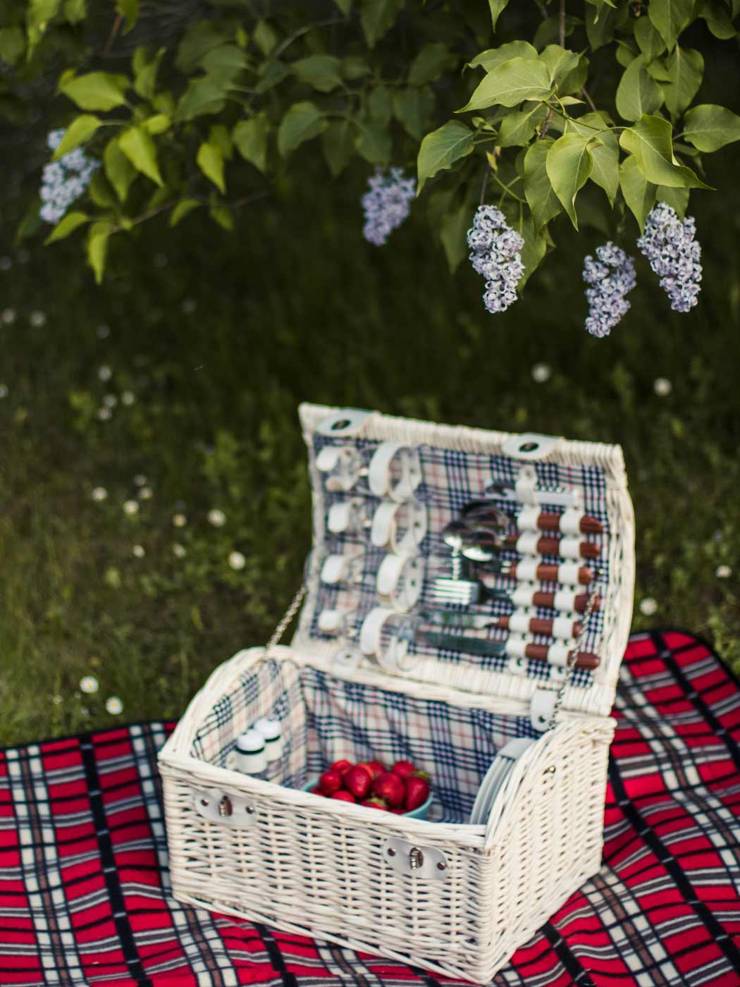 Geöffneter, weißer Picknickkorb, der auf einer roten Decke vor einem Busch steht