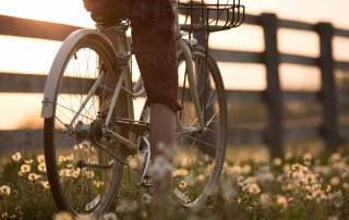 Fahrrad fährt zwischen Blumenwiese und Zaun in den Sonnenuntergang hinein