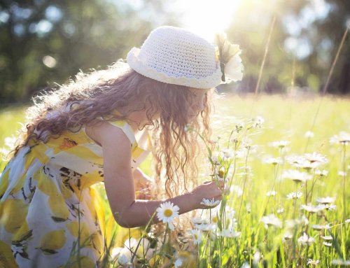 Hildesheimer Ferienprogramm für Kinder: Das gibt’s im Sommer