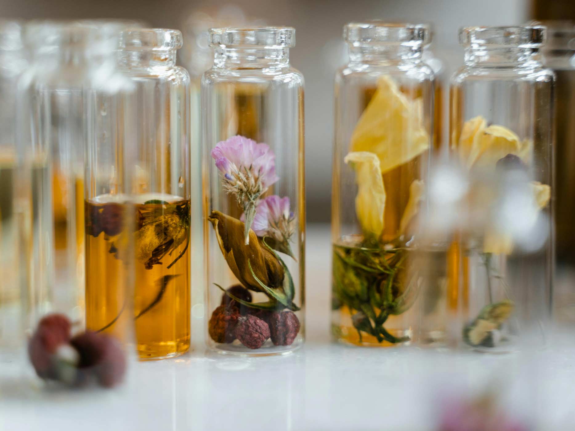 Glasfläschchen gefüllt mit Blumen und Kräutern