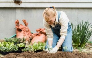 Frau kniet im Beet und pflanzt etwas ein