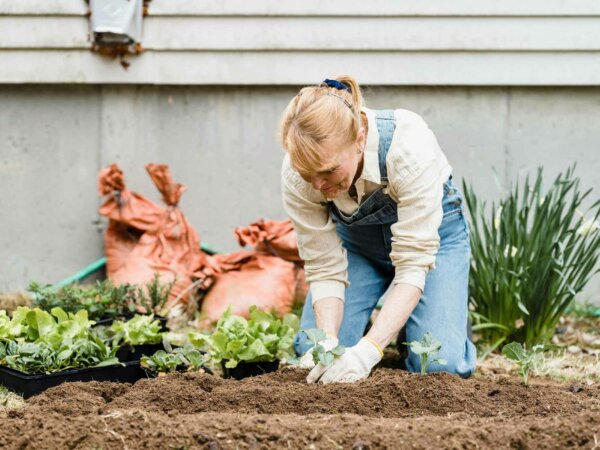 Frau kniet im Beet und pflanzt etwas ein