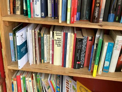 Regalbretter eines Bücherschranks, die mit vielen Büchern gefüllt sind