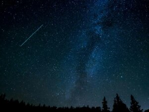 Silhouette von Baumspitzen mit einem großen Sternenhimmel, an dem man die Milchstraße erkennt