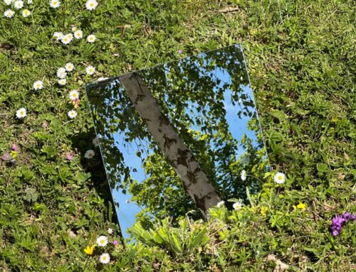Wiedereröffnung des Ernst-Ehrlicher Parks: So sieht er jetzt aus