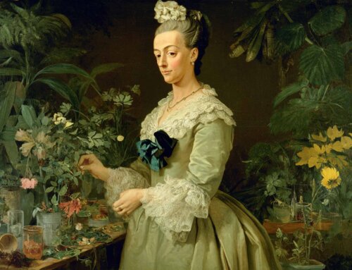 Catharina Helena Dörrien: Kennst du die Hildesheimer Berühmtheit?