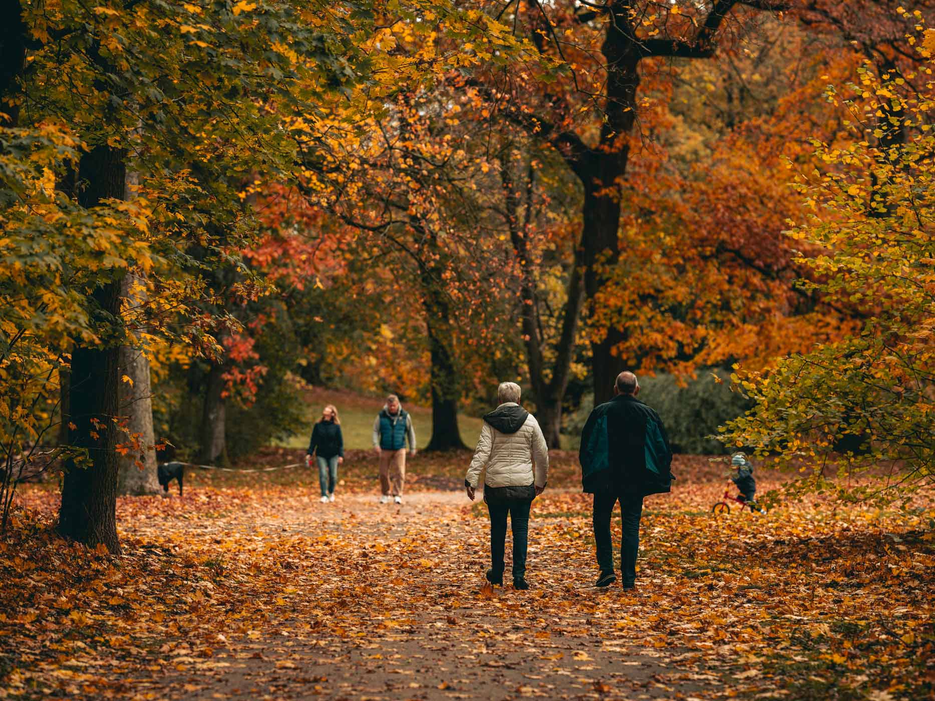 Hildesheim Spaziergang Herbst Menschen gehen an einem Herbsttag im Wald spazieren