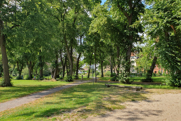 Wedekindlauf in Hildesheim